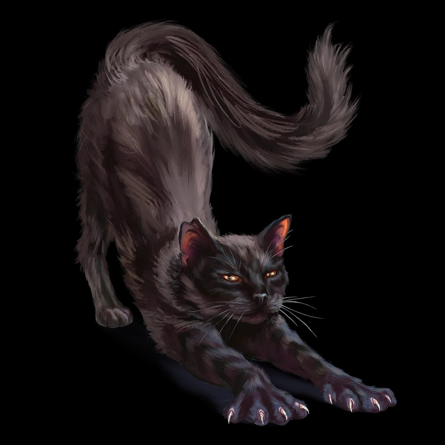 Кошка