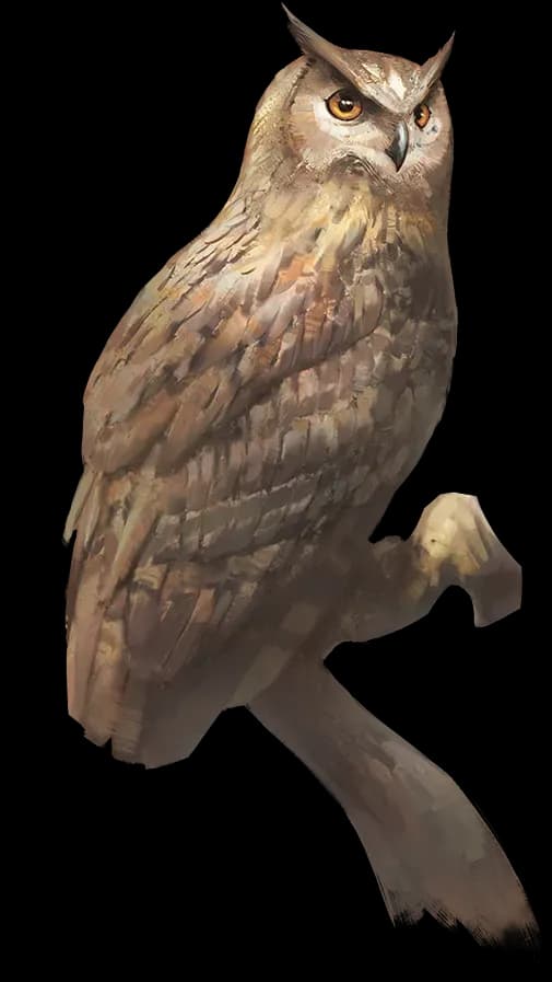 Сова
